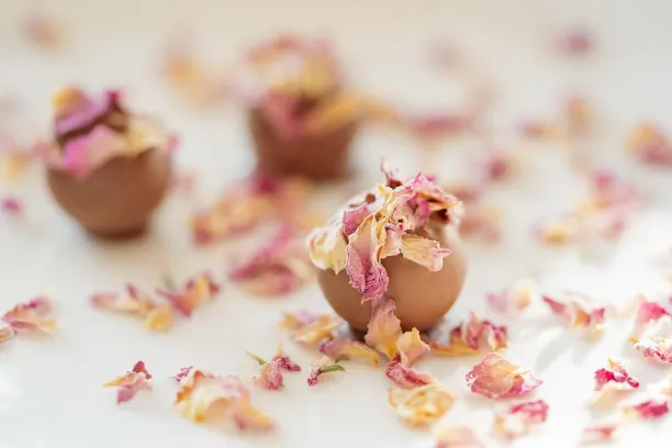 Coin365Bet Casino Aplicación Android/iOS